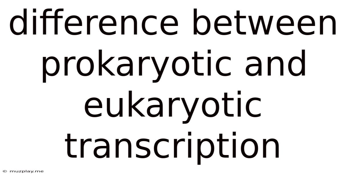 Difference Between Prokaryotic And Eukaryotic Transcription