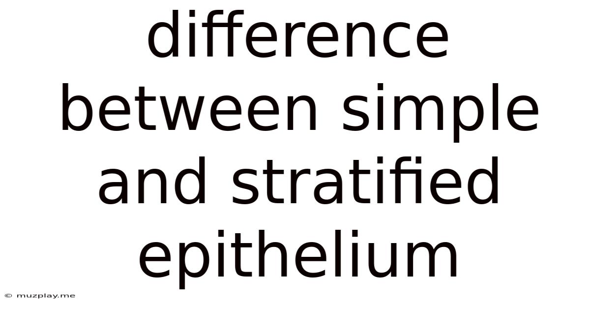 Difference Between Simple And Stratified Epithelium