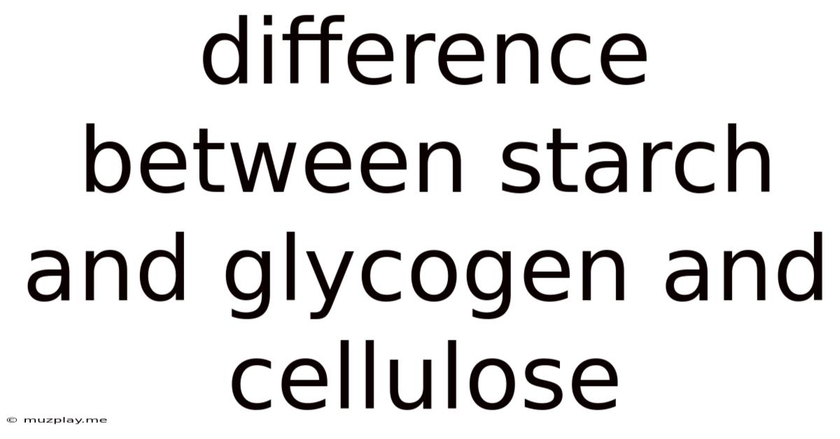 Difference Between Starch And Glycogen And Cellulose