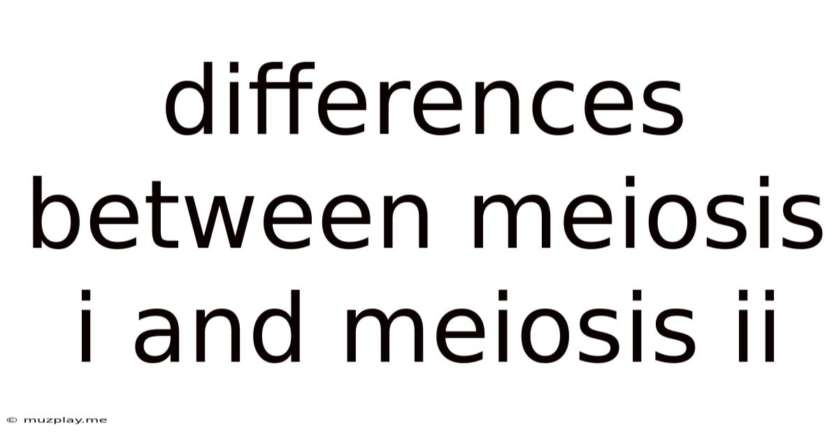 Differences Between Meiosis I And Meiosis Ii