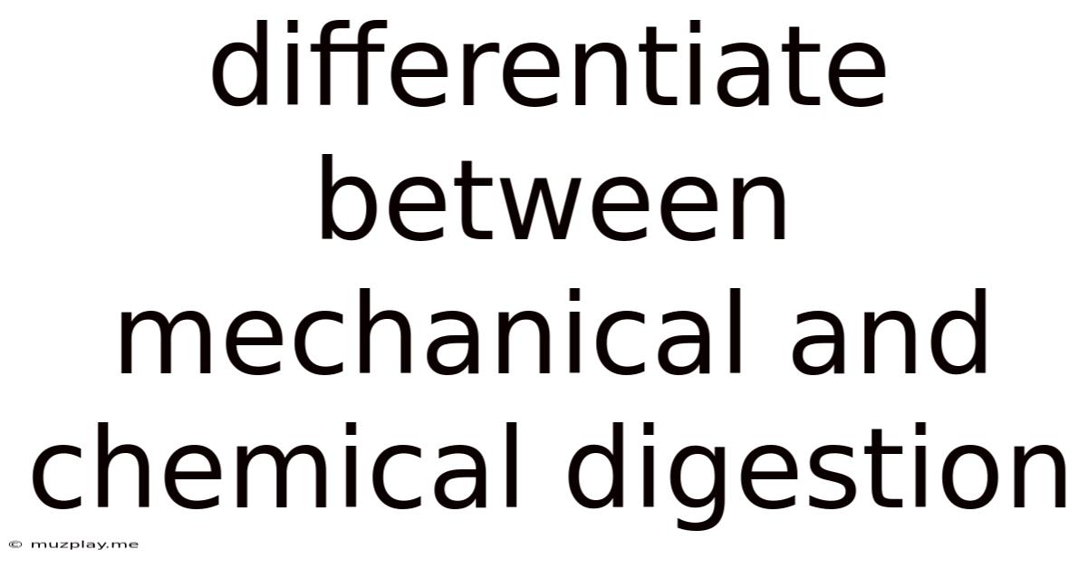Differentiate Between Mechanical And Chemical Digestion