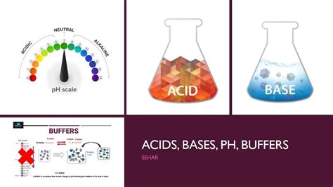 Differentiate The Functional Roles Of Acids Bases And Buffers