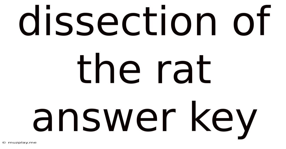 Dissection Of The Rat Answer Key