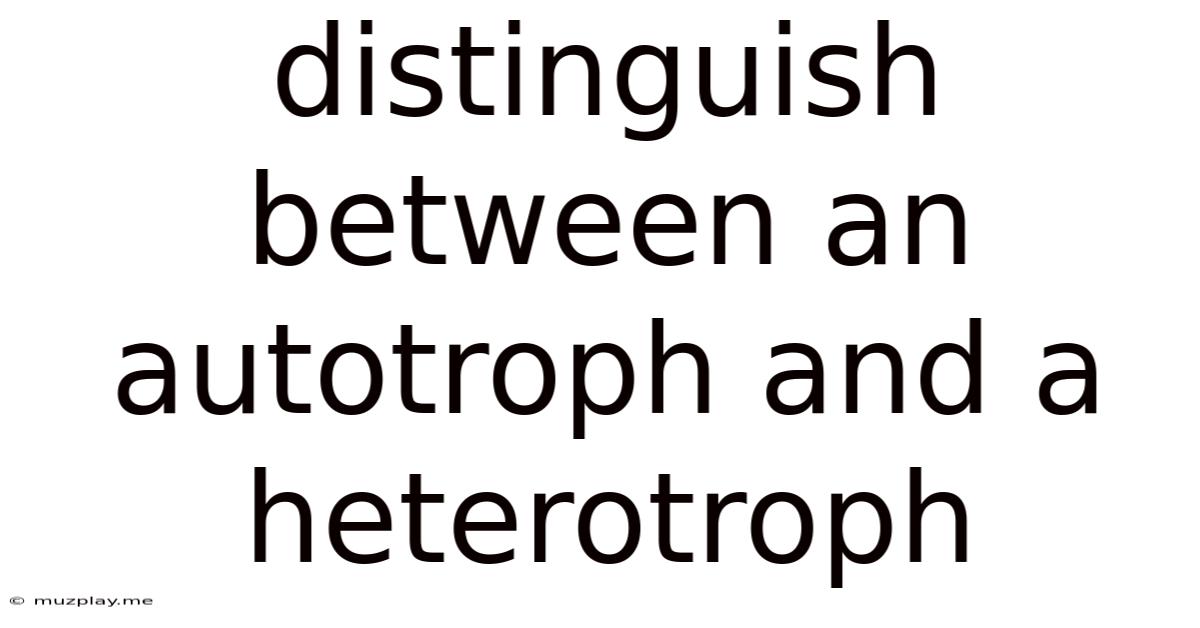 Distinguish Between An Autotroph And A Heterotroph