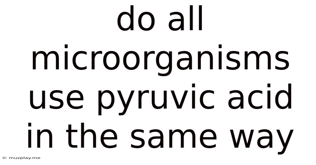 Do All Microorganisms Use Pyruvic Acid In The Same Way