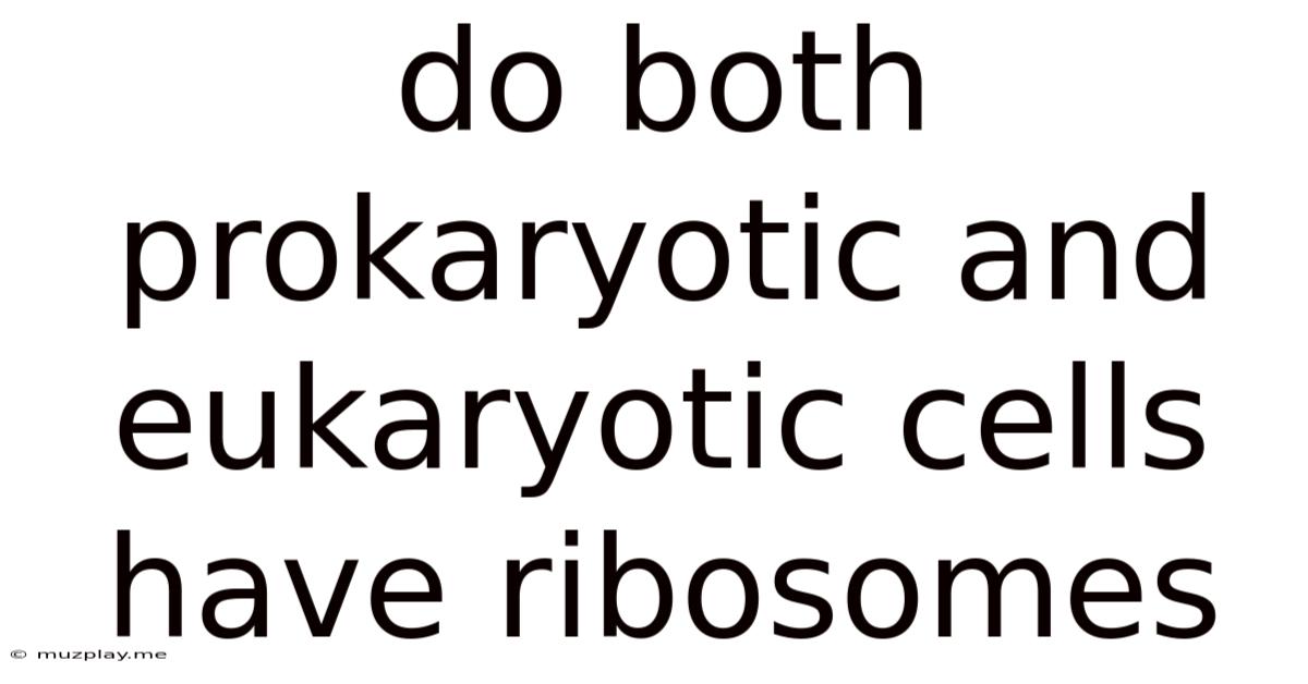 Do Both Prokaryotic And Eukaryotic Cells Have Ribosomes
