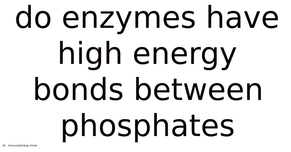 Do Enzymes Have High Energy Bonds Between Phosphates