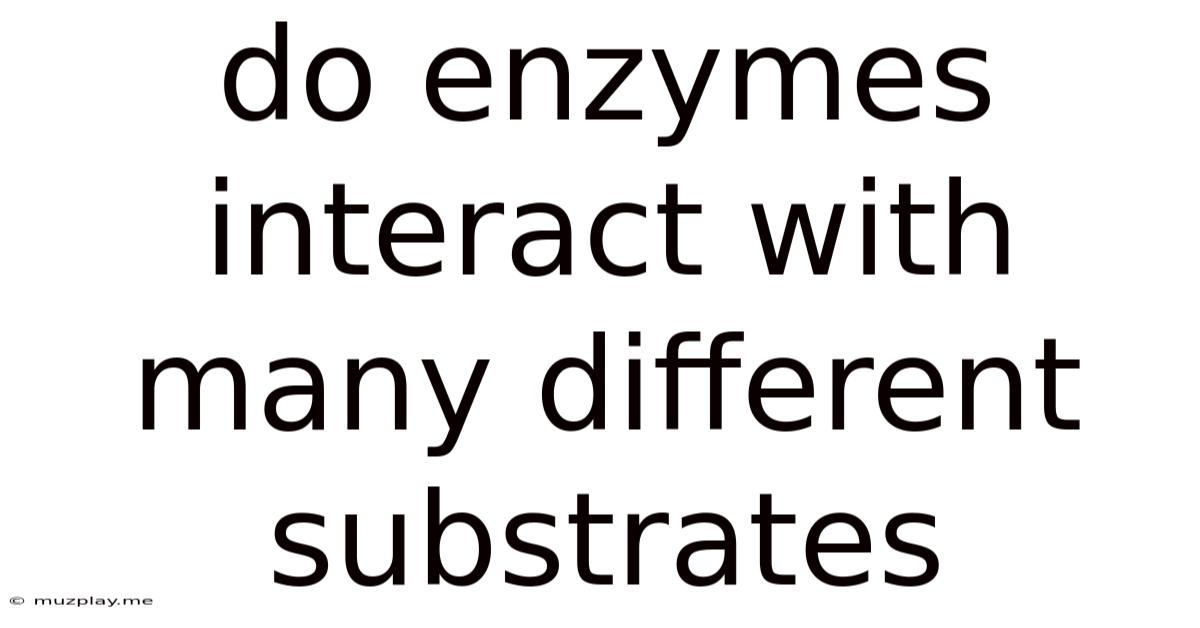 Do Enzymes Interact With Many Different Substrates