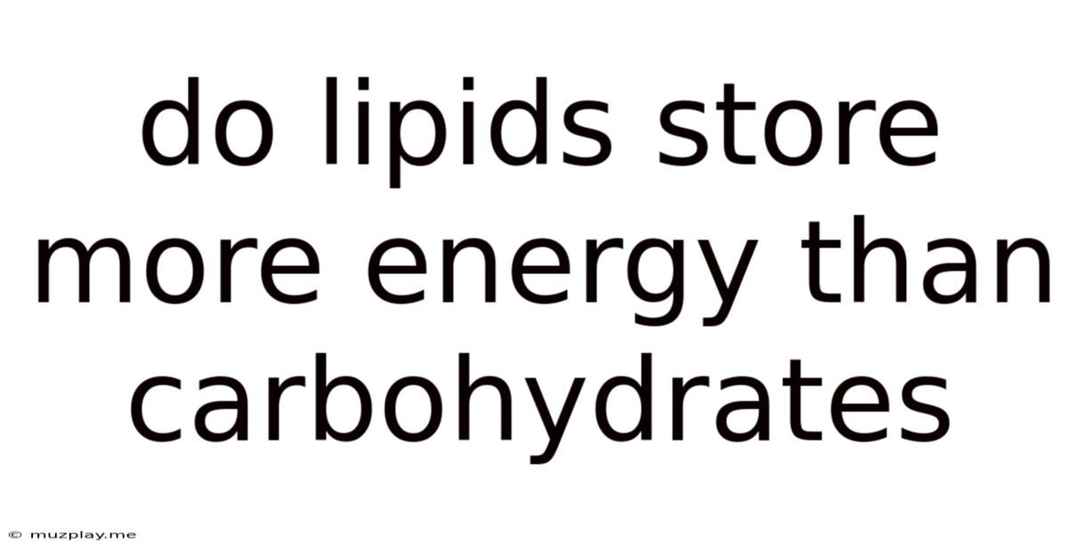 Do Lipids Store More Energy Than Carbohydrates