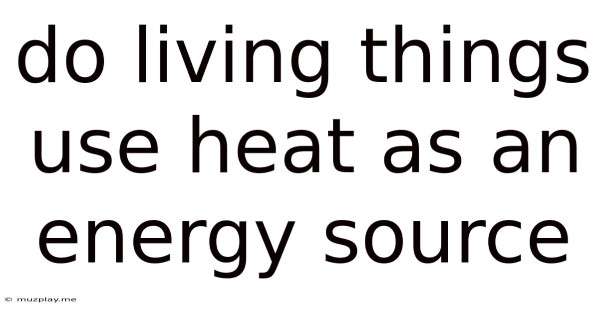 Do Living Things Use Heat As An Energy Source