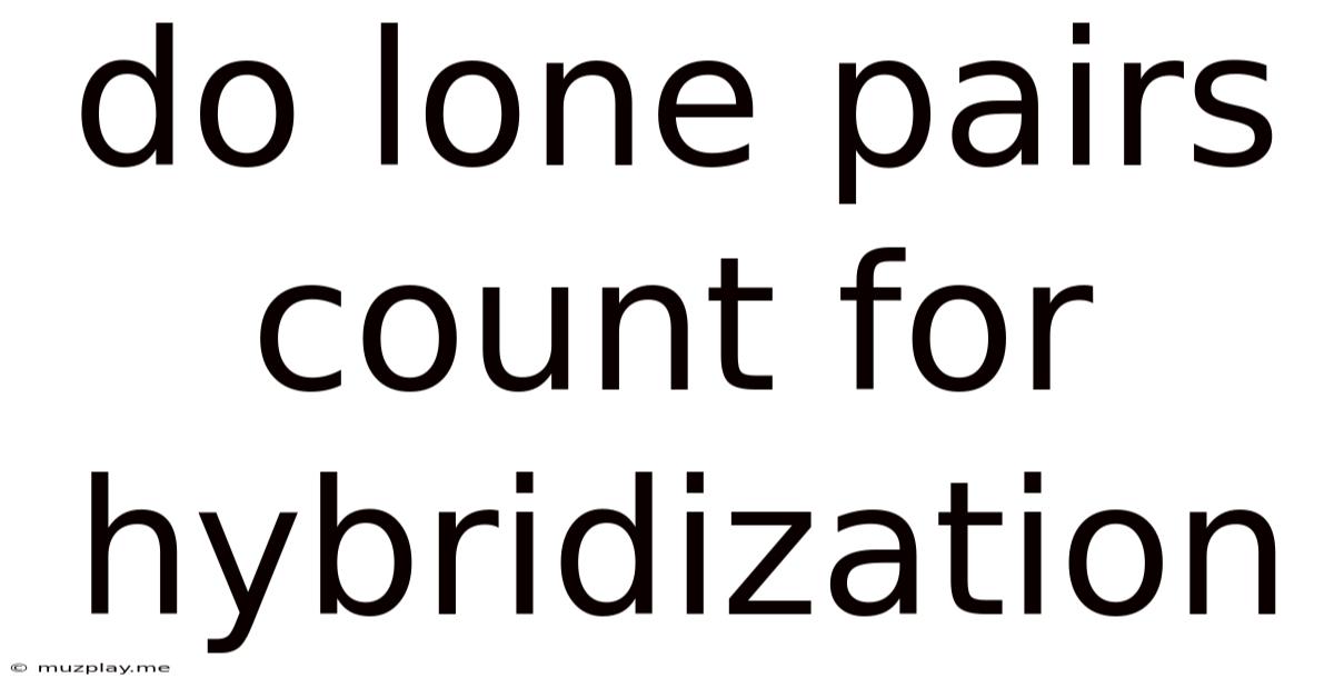 Do Lone Pairs Count For Hybridization