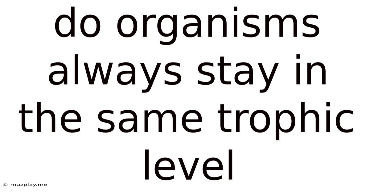 Do Organisms Always Stay In The Same Trophic Level