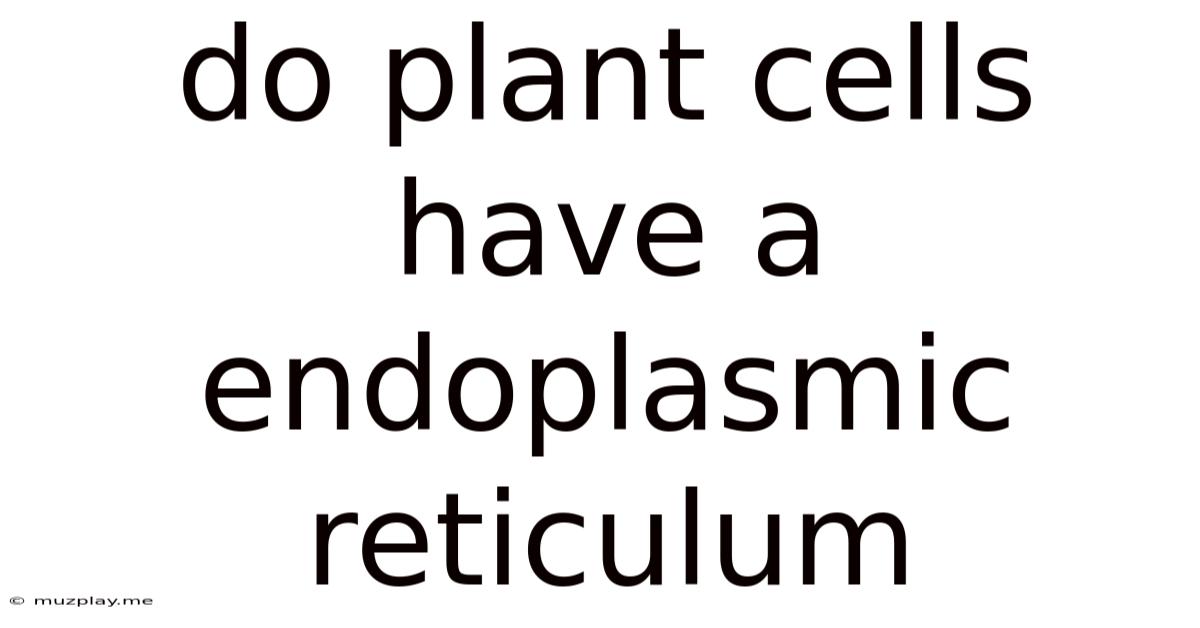 Do Plant Cells Have A Endoplasmic Reticulum