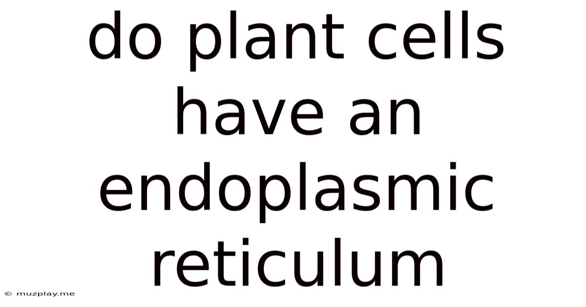 Do Plant Cells Have An Endoplasmic Reticulum