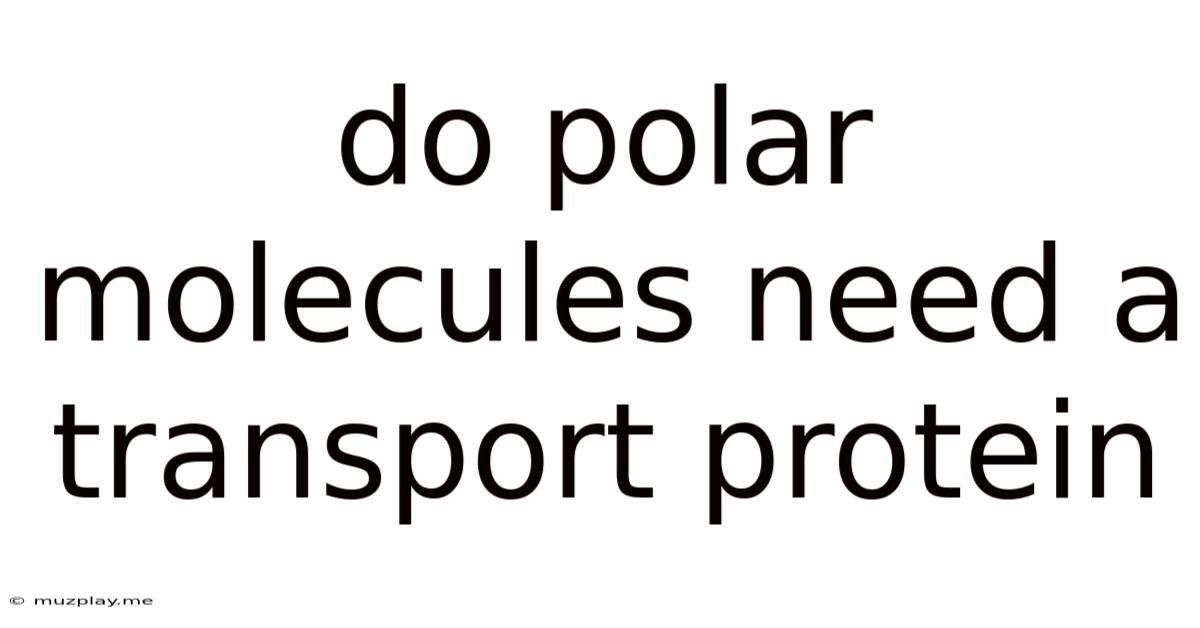 Do Polar Molecules Need A Transport Protein