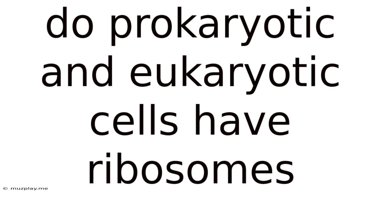 Do Prokaryotic And Eukaryotic Cells Have Ribosomes
