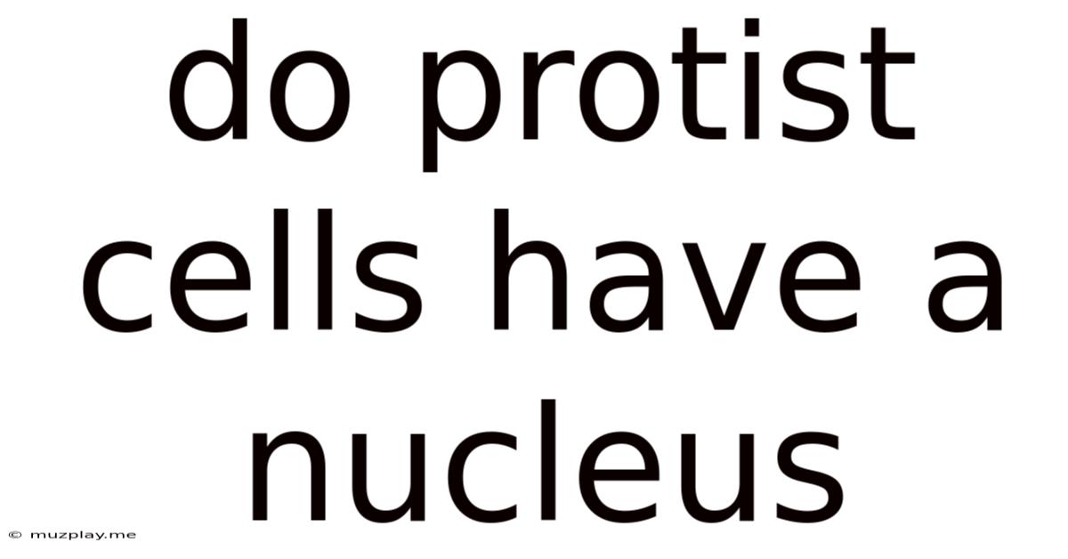 Do Protist Cells Have A Nucleus