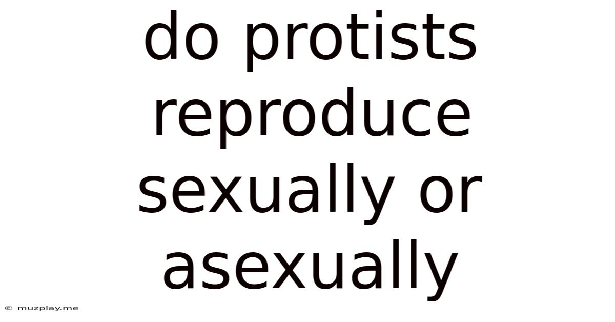 Do Protists Reproduce Sexually Or Asexually
