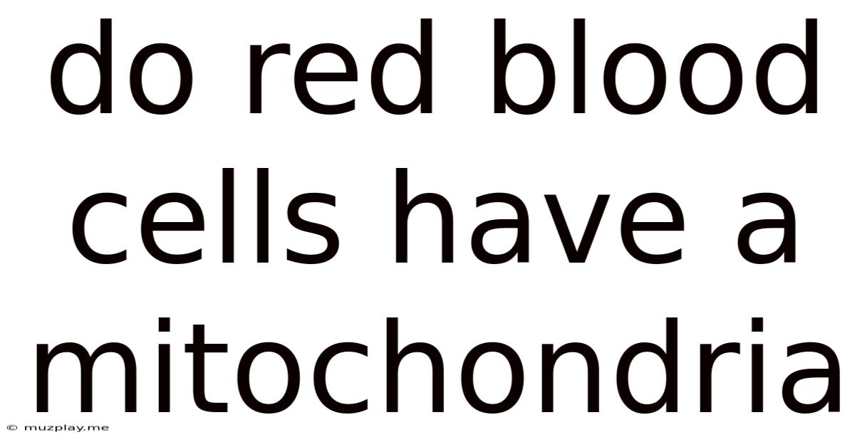 Do Red Blood Cells Have A Mitochondria