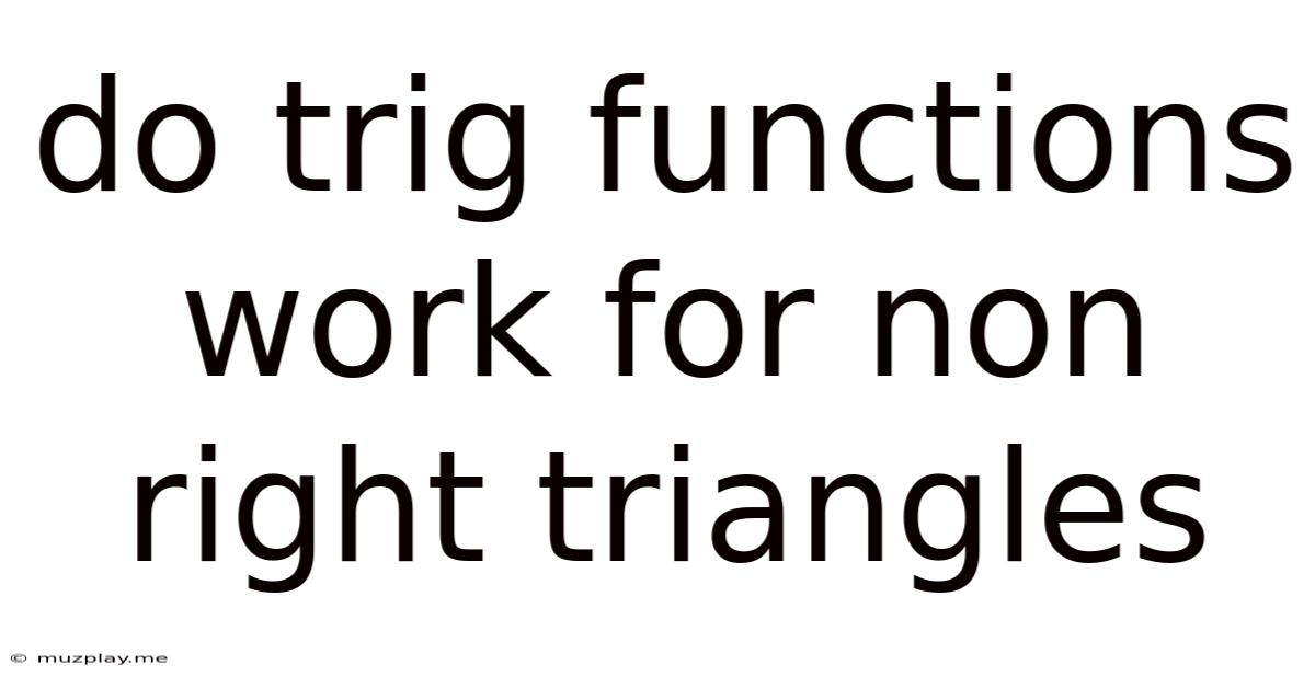Do Trig Functions Work For Non Right Triangles