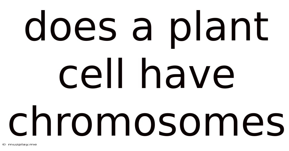 Does A Plant Cell Have Chromosomes