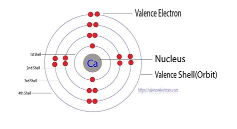 Does Calcium Lose Or Gain Electrons