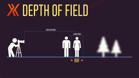 Does Depth Of Field Increase With Magnification