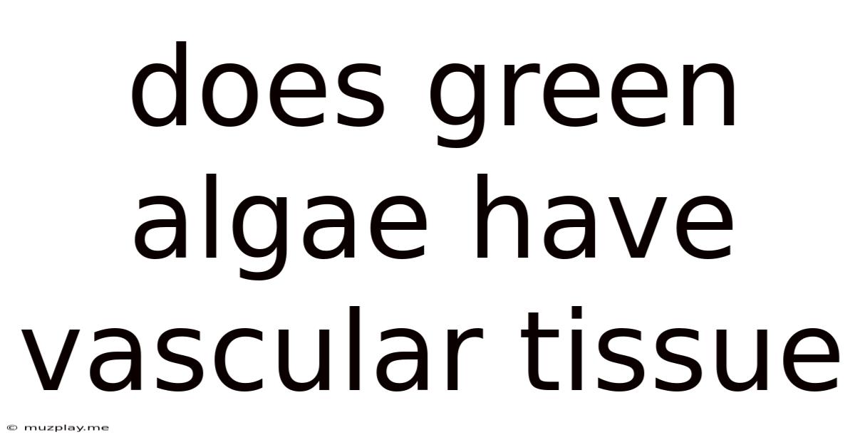 Does Green Algae Have Vascular Tissue