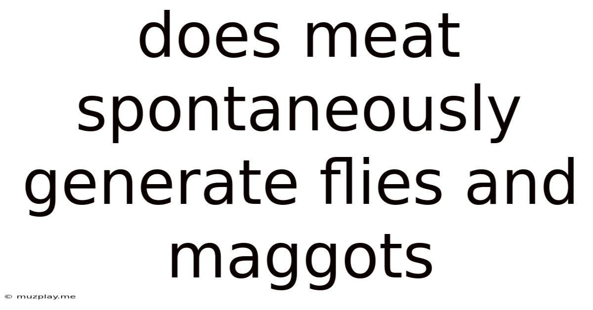 Does Meat Spontaneously Generate Flies And Maggots