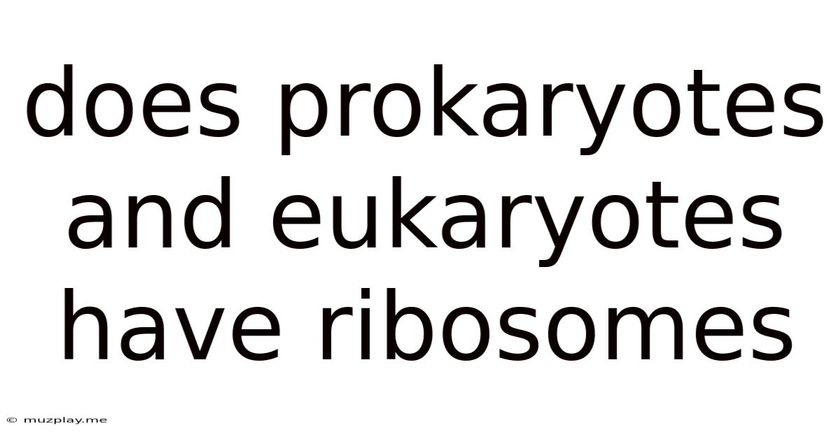 Does Prokaryotes And Eukaryotes Have Ribosomes