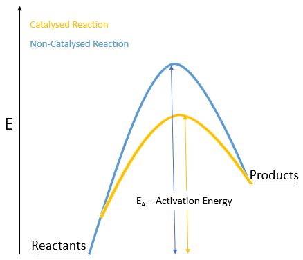 Does Reaction Rate Depend On Concentration Of The Catalyst