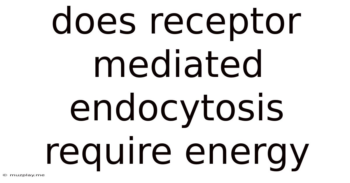Does Receptor Mediated Endocytosis Require Energy
