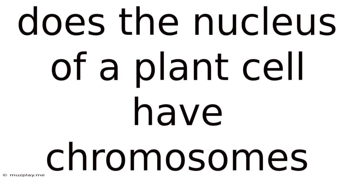 Does The Nucleus Of A Plant Cell Have Chromosomes