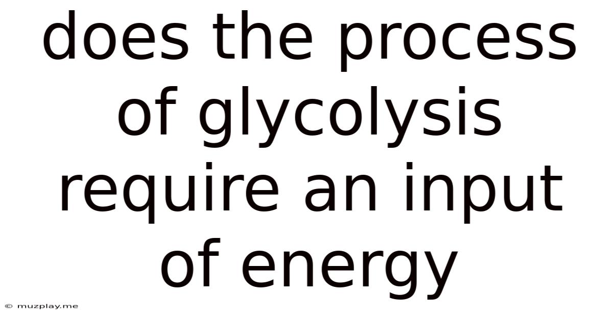 Does The Process Of Glycolysis Require An Input Of Energy