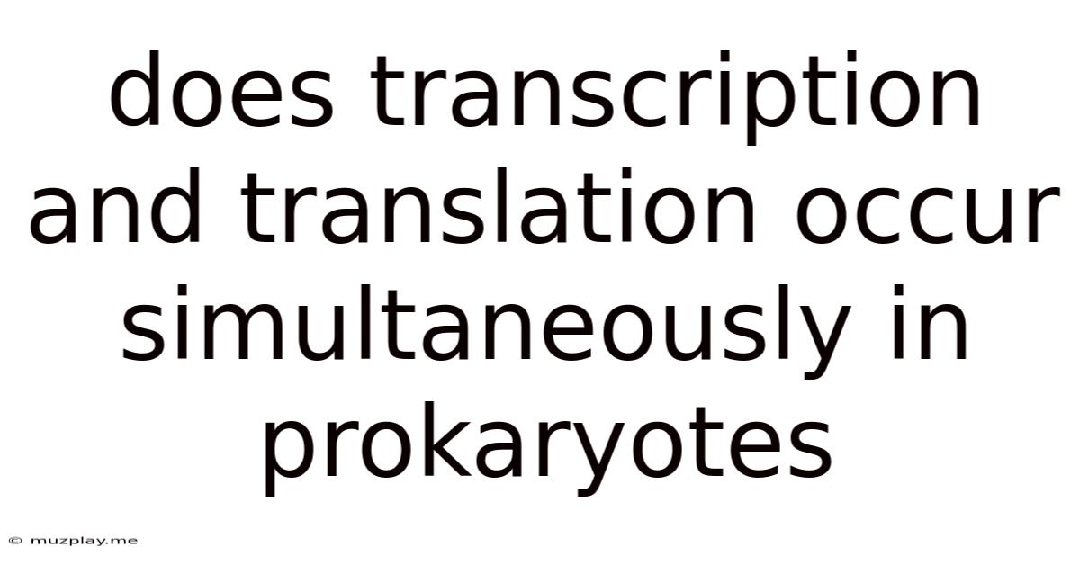 Does Transcription And Translation Occur Simultaneously In Prokaryotes