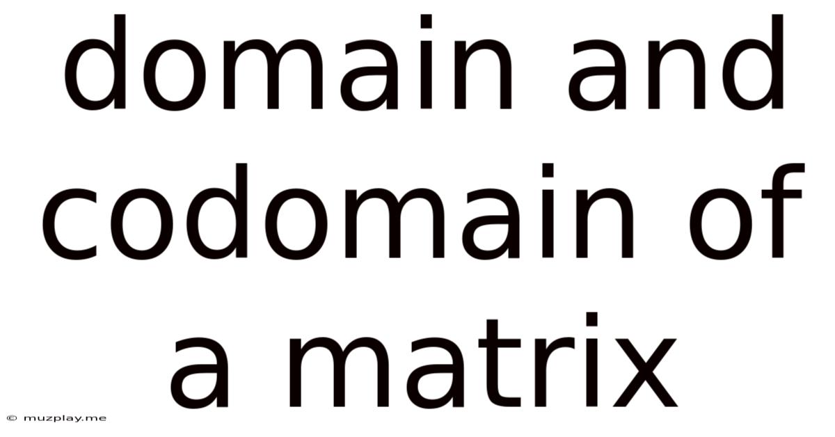 Domain And Codomain Of A Matrix