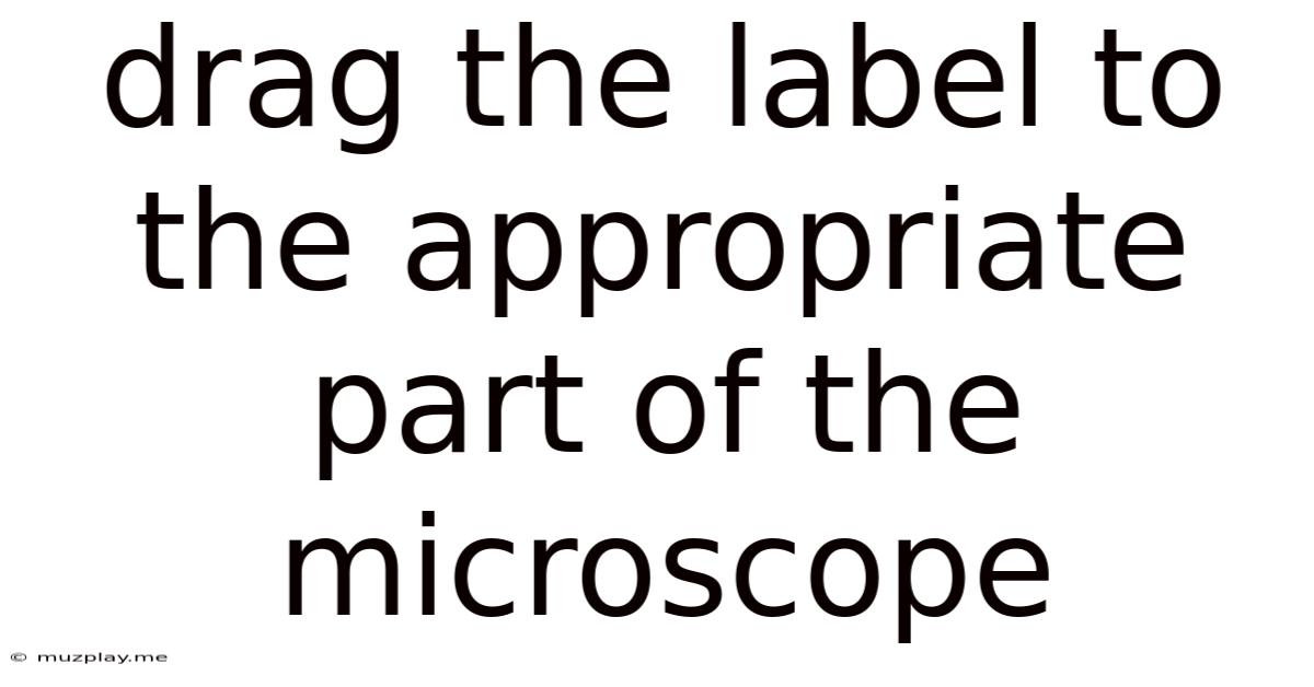 Drag The Label To The Appropriate Part Of The Microscope