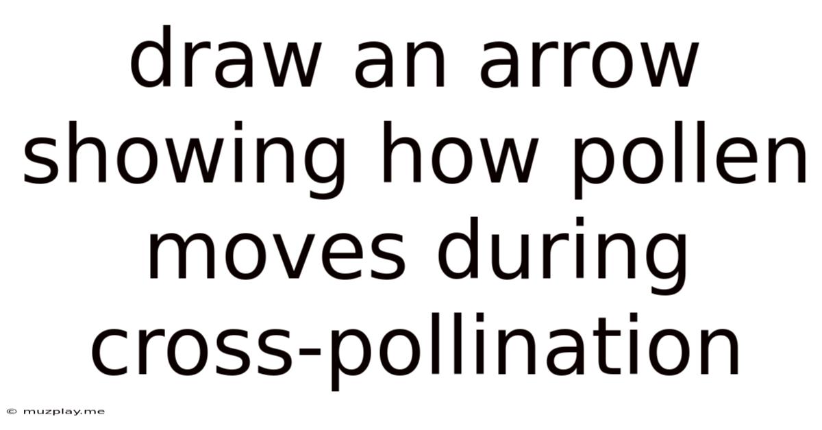 Draw An Arrow Showing How Pollen Moves During Cross-pollination