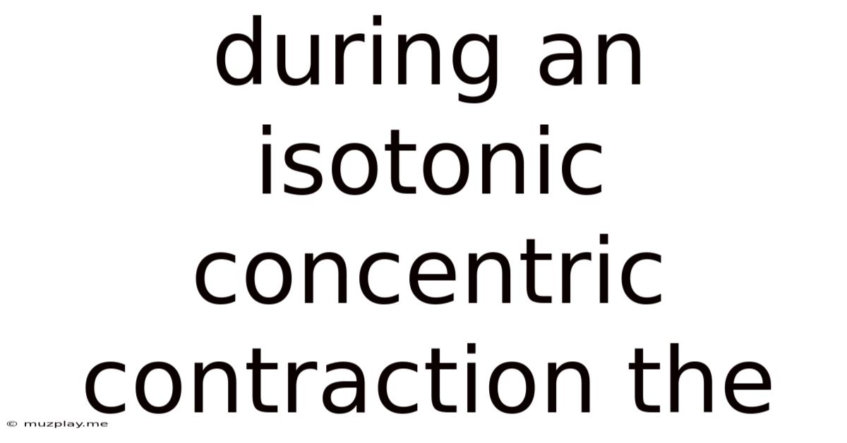 During An Isotonic Concentric Contraction The