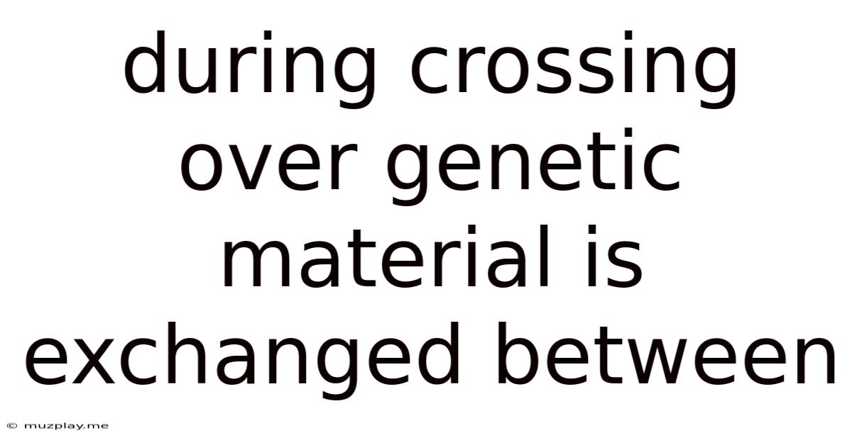 During Crossing Over Genetic Material Is Exchanged Between