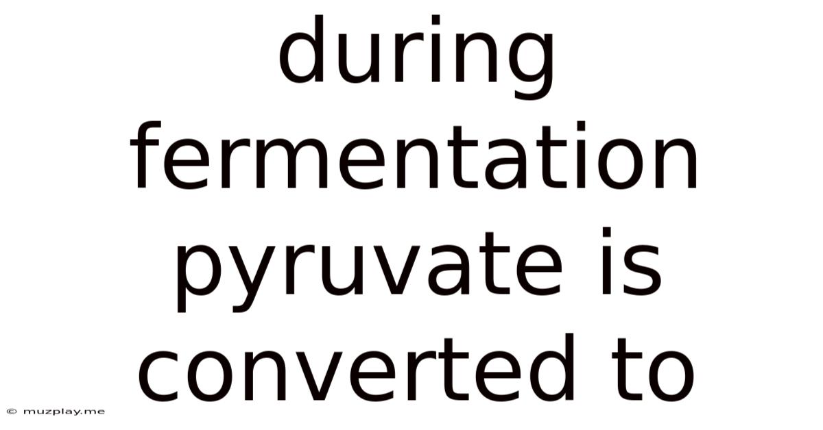 During Fermentation Pyruvate Is Converted To