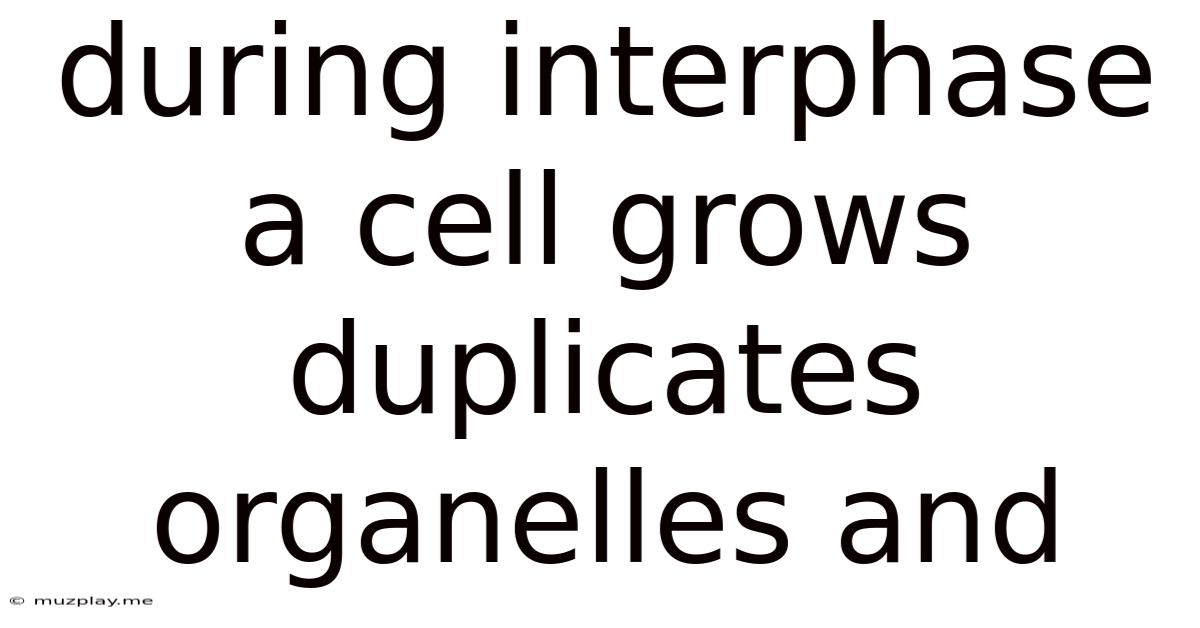 During Interphase A Cell Grows Duplicates Organelles And