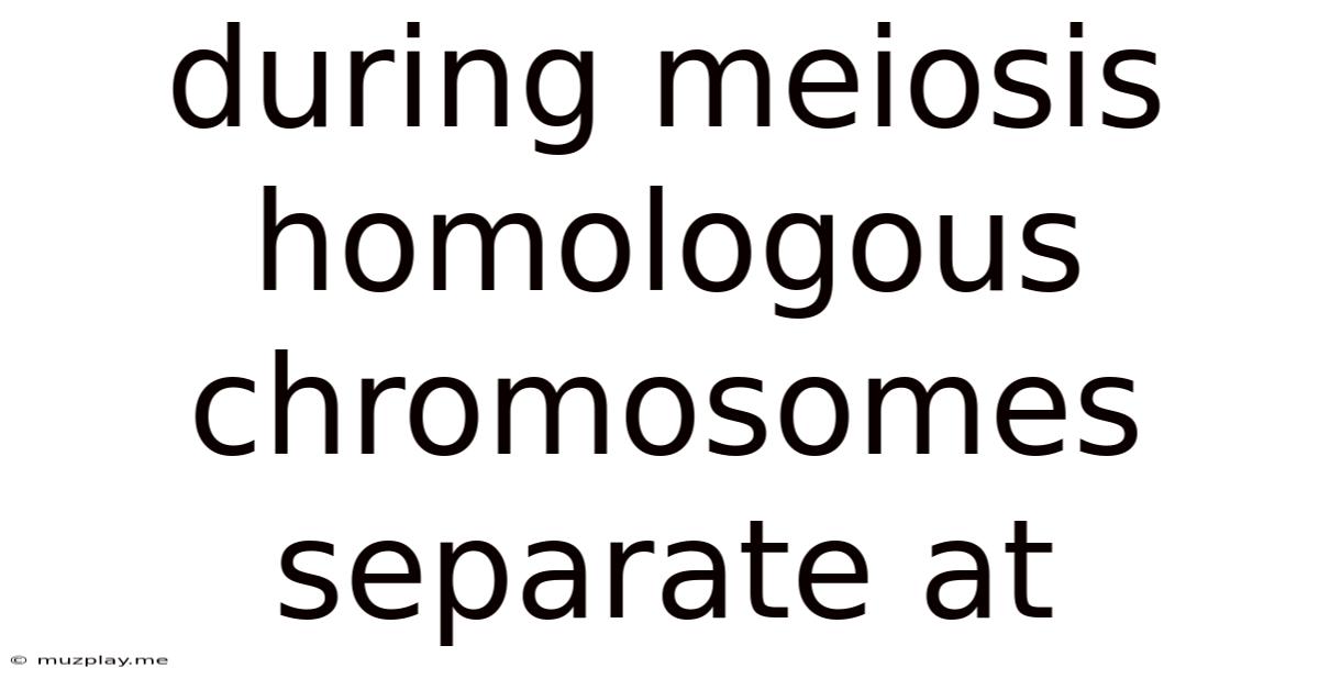 During Meiosis Homologous Chromosomes Separate At