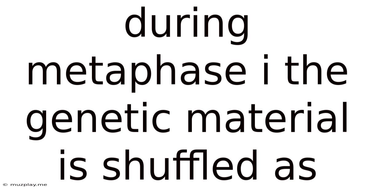 During Metaphase I The Genetic Material Is Shuffled As