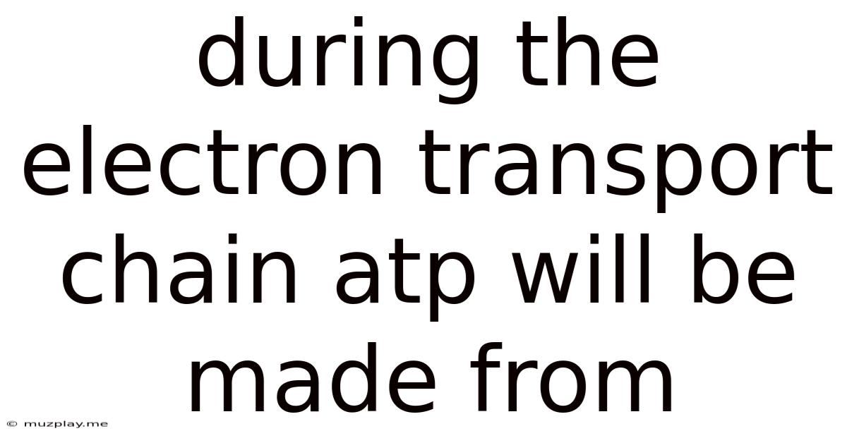 During The Electron Transport Chain Atp Will Be Made From