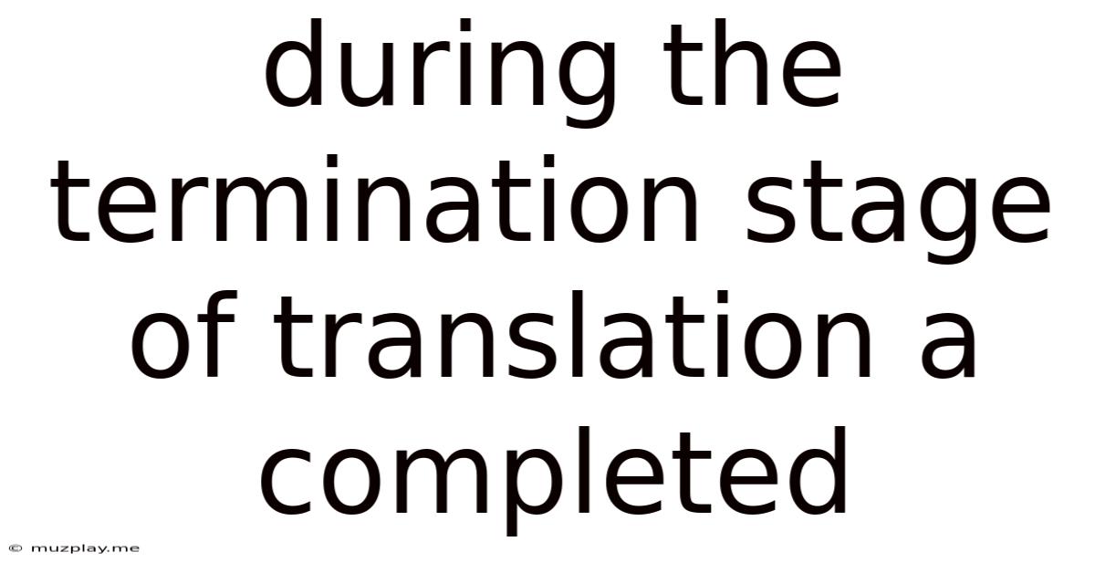 During The Termination Stage Of Translation A Completed