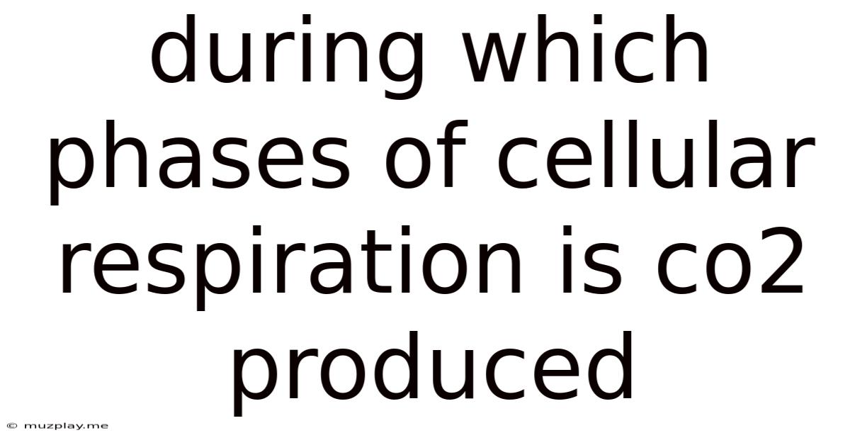 During Which Phases Of Cellular Respiration Is Co2 Produced