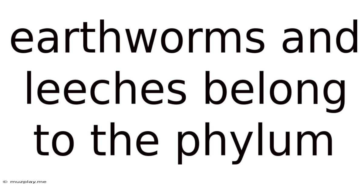 Earthworms And Leeches Belong To The Phylum