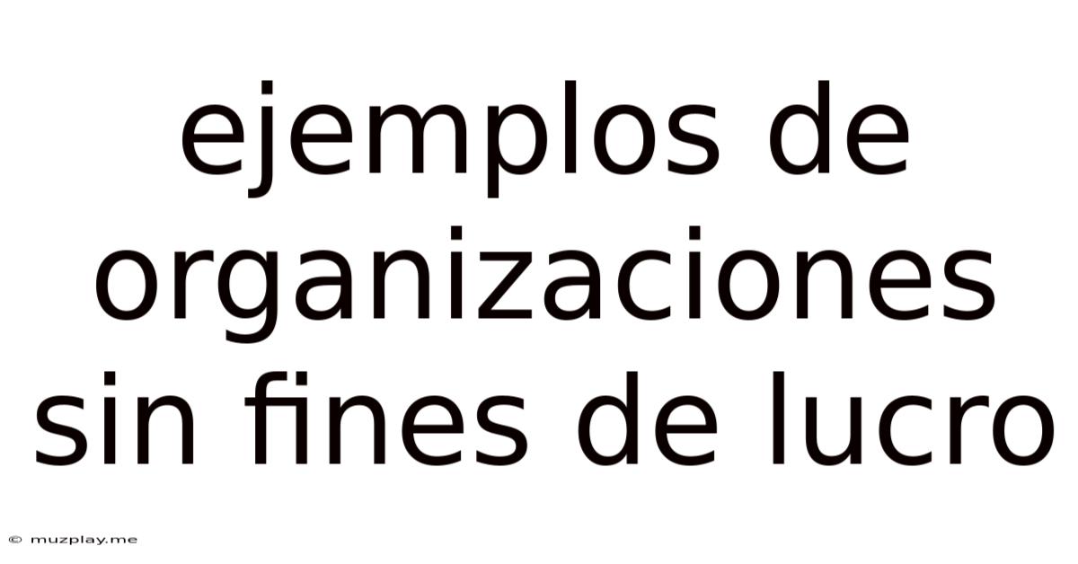 Ejemplos De Organizaciones Sin Fines De Lucro