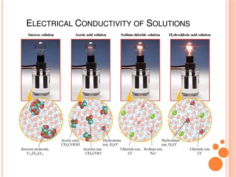 Electrolytes Conduct Electrical Currents In Solution